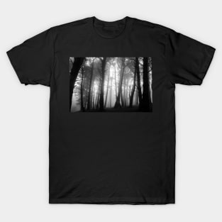 Misty forest on Killiney Hill T-Shirt